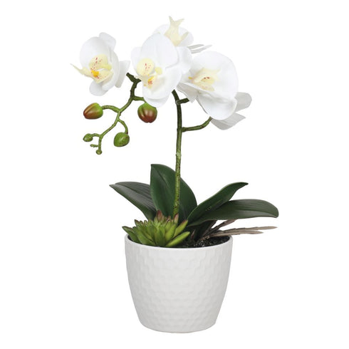Potted Single Stem White Phalaenopsis Orchid with Decorative Pot 35cm - Artificial Plant